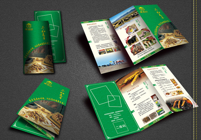 折頁(yè)產(chǎn)品說(shuō)明書(shū)宣傳單可做多折黑白彩色來(lái)圖定制印刷